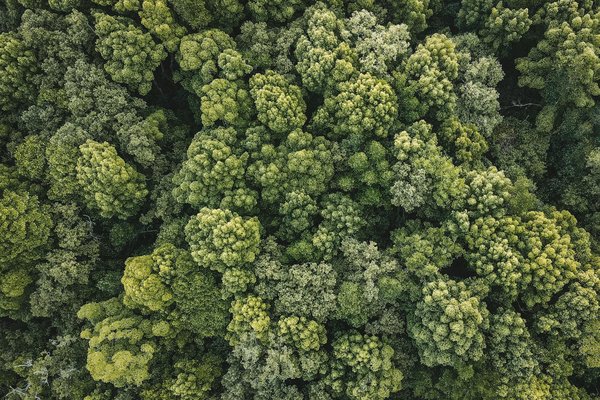 Comment dénicher son médecin traitant : toutes les ressources à votre disposition